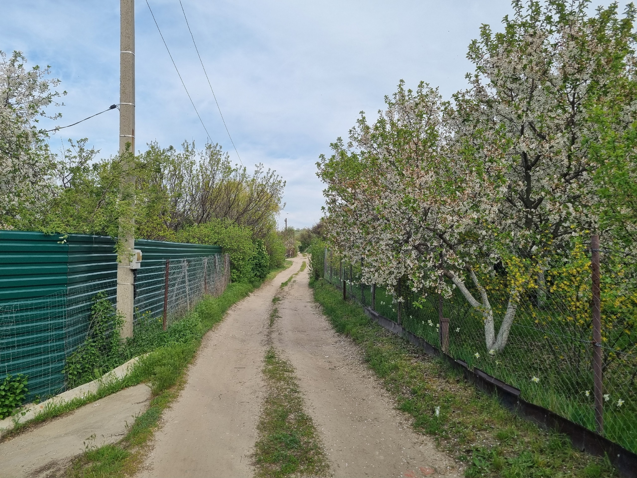 auto_zagruzka_iz_vk_41375_457263158
