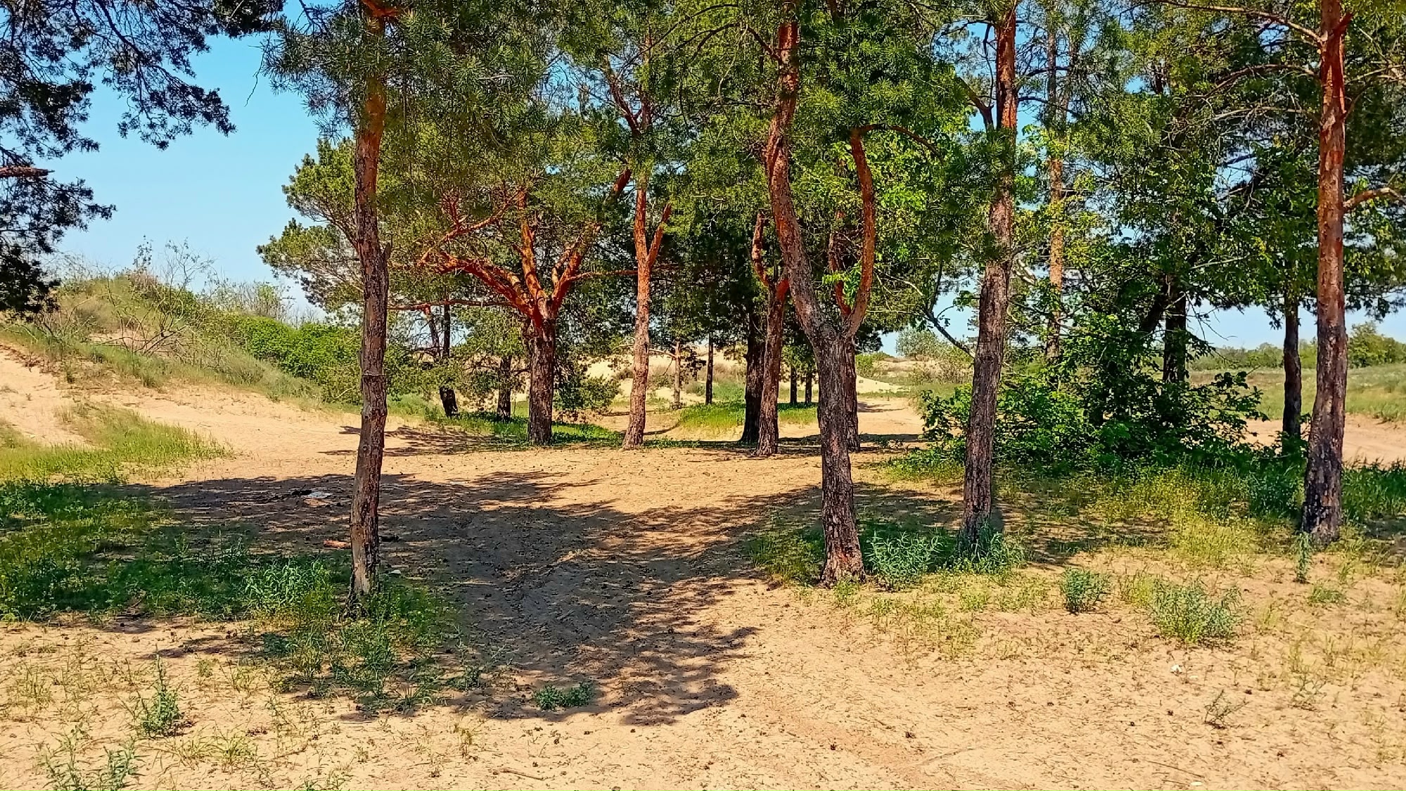 auto_zagruzka_iz_vk_41406_457263172