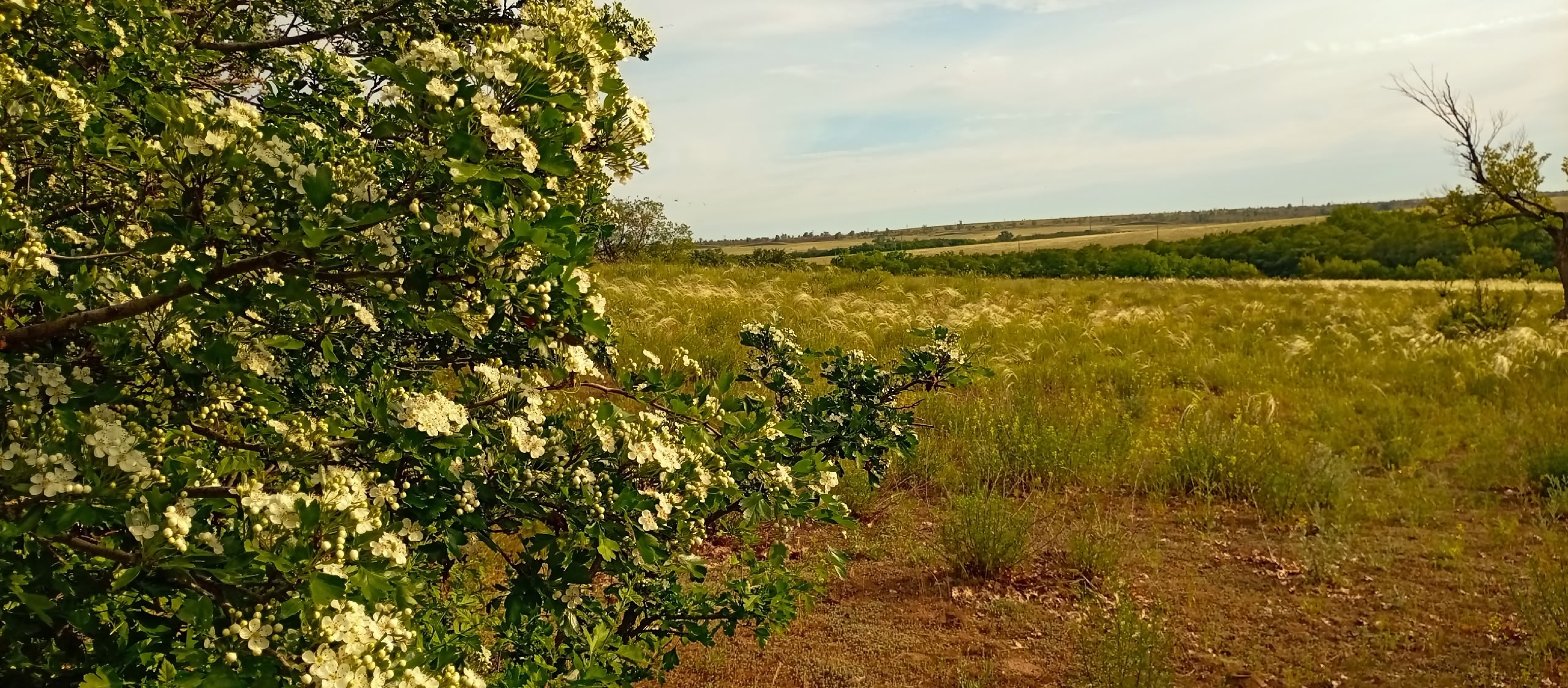 auto_zagruzka_iz_vk_41496_457263299