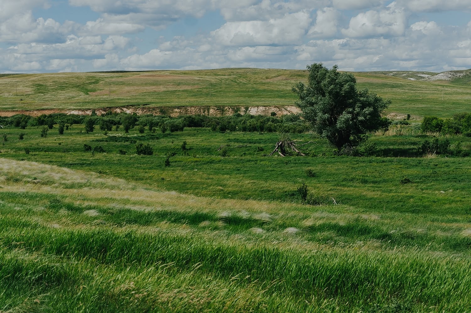 auto_zagruzka_iz_vk_41665_457263491