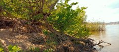 Фото велопокатушек и ПВД 42327