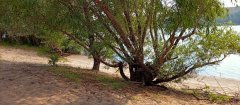 Фото велопокатушек и ПВД 42340