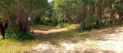 Фото велопокатушек и ПВД 42341