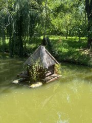 Фото велопокатушек и ПВД 42394