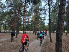Фото велопокатушек и ПВД 42401