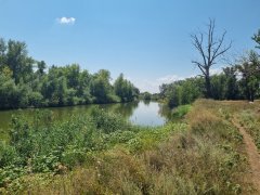 Фото велопокатушек и ПВД 42411