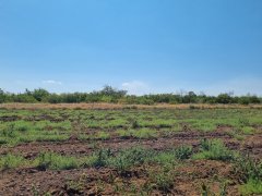 Фото велопокатушек и ПВД 42435