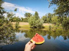 Фото велопокатушек и ПВД 42441