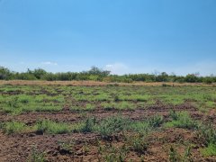 Фото велопокатушек и ПВД 42444