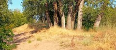Фото велопокатушек и ПВД 42450