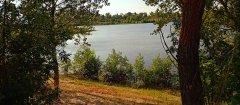 Фото велопокатушек и ПВД 42450