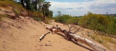 Фото велопокатушек и ПВД 42450