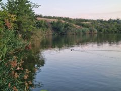 Фото велопокатушек и ПВД 42472