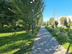 Фото велопокатушек и ПВД 42472