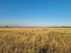 Фото велопокатушек и ПВД 42473