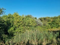 Фото велопокатушек и ПВД 42473