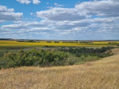 Фото велопокатушек и ПВД 42509