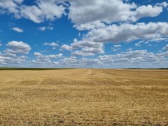 Фото велопокатушек и ПВД 42509