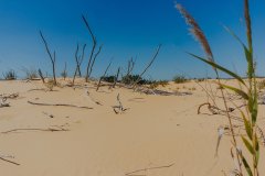 Фото велопокатушек и ПВД 42519