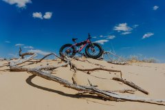 Фото велопокатушек и ПВД 42520