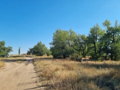 Фото велопокатушек и ПВД 42532