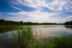 Фото велопокатушек и ПВД 42543