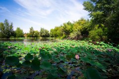 Фото велопокатушек и ПВД 42544