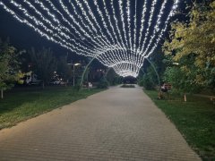 Фото велопокатушек и ПВД 42577