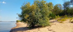 Фото велопокатушек и ПВД 42599