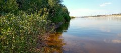 Фото велопокатушек и ПВД 42600