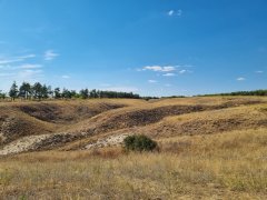 Фото велопокатушек и ПВД 42605