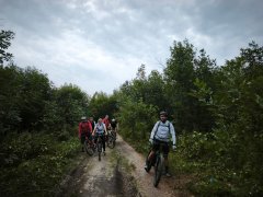 Фото велопокатушек и ПВД 42614