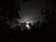Фото велопокатушек и ПВД 42614