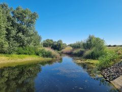 Фото велопокатушек и ПВД 42661