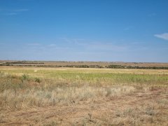 Фото велопокатушек и ПВД 42707