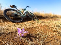 Фото велопокатушек и ПВД 42719
