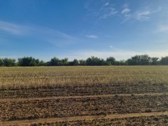 Фото велопокатушек и ПВД 42793