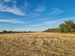 Фото велопокатушек и ПВД 42795