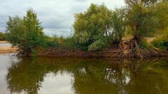 Фото велопокатушек и ПВД 42801