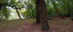 Фото велопокатушек и ПВД 42801