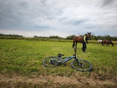Фото велопокатушек и ПВД 42817