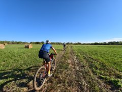 Фото велопокатушек и ПВД 42823