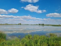 Фото велопокатушек и ПВД 42826