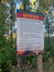 Фото велопокатушек и ПВД 42826