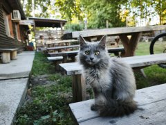 Фото велопокатушек и ПВД 42834