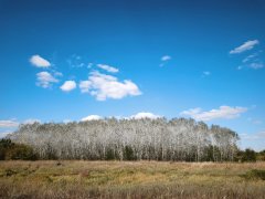 Фото велопокатушек и ПВД 42966