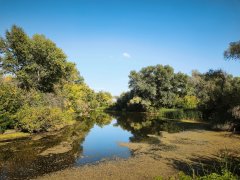 Фото велопокатушек и ПВД 42979