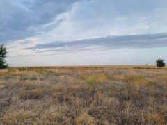 Фото велопокатушек и ПВД 43014