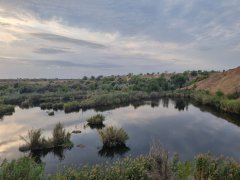 Фото велопокатушек и ПВД 43016