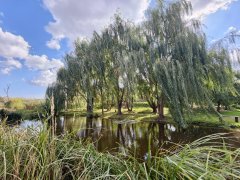 Фото велопокатушек и ПВД 43048